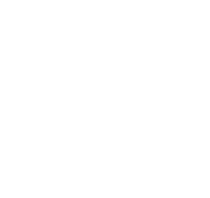F-SENSE